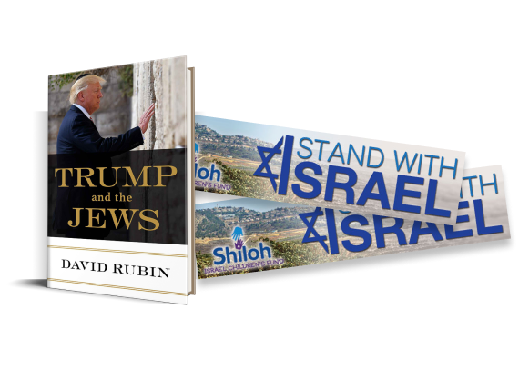 Jumbo Jaws Cotton Rope Dog Toy